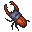 Ares Beetle