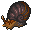 Atlas Snail