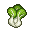 Bok Choy