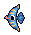 Bow fish