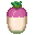 Giant Turnip