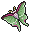 Lunamoth