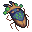 Phoenix Beetle