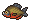 Pirahnafish